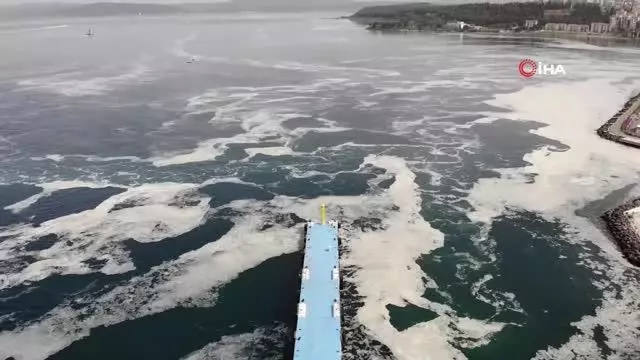 Çanakkale Boğazı deniz salyası ile kaplandı Çanakkale Boğazı deniz salyası ile kaplandı
