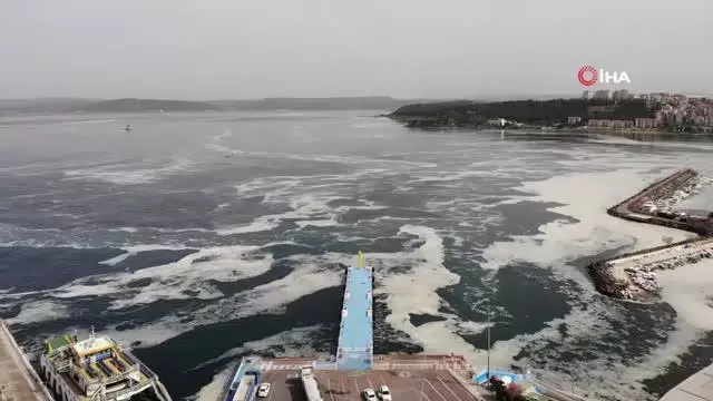 Çanakkale Boğazı deniz salyası ile kaplandı Çanakkale Boğazı deniz salyası ile kaplandı
