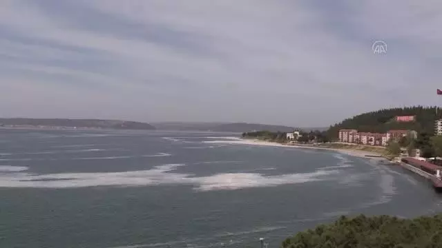 ÇANAKKALE - Çanakkale Boğazı'nda da görülen 'deniz salyası' Marmara Denizi'nde balıkçılığı tehdit ediyor ÇANAKKALE - Çanakkale Boğazı'nda da görülen 'deniz salyası' Marmara Denizi'nde balıkçılığı tehdit ediyor