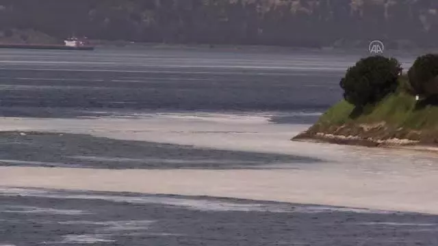 ÇANAKKALE - Çanakkale Boğazı'nda da görülen 'deniz salyası' Marmara Denizi'nde balıkçılığı tehdit ediyor ÇANAKKALE - Çanakkale Boğazı'nda da görülen 'deniz salyası' Marmara Denizi'nde balıkçılığı tehdit ediyor