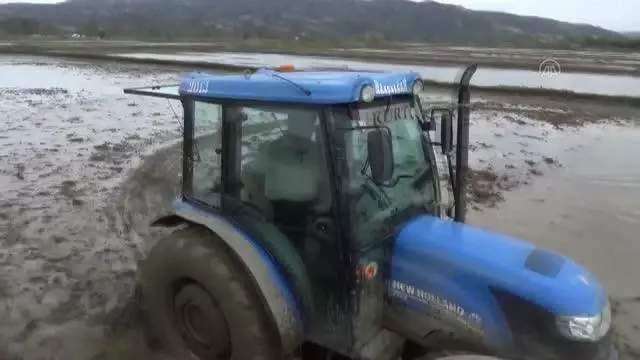 Çeltik ekimine başlandı Çeltik ekimine başlandı