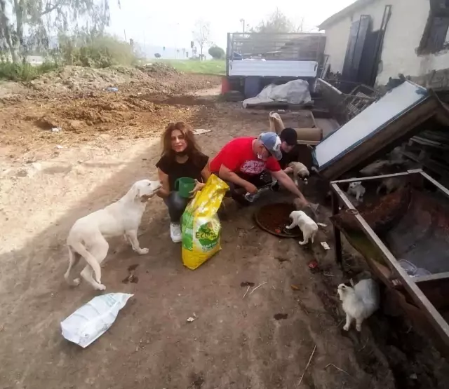 Çiğli Belediyesi tam kapanmada sokak hayvanlarını unutmadı