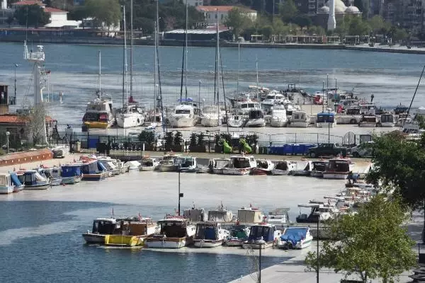 DENİZ SALYASINI YAĞMURLAR BESLEMİŞ DENİZ SALYASINI YAĞMURLAR BESLEMİŞ