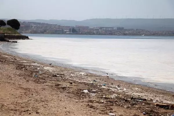 DENİZ SALYASINI YAĞMURLAR BESLEMİŞ DENİZ SALYASINI YAĞMURLAR BESLEMİŞ