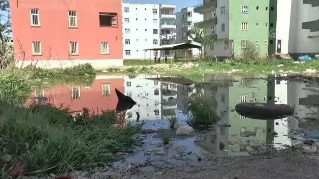 DİYARBAKIR - Yenişehir Belediyesi alt ve üst yapı çalışmasında gelinen aşamayı mahalle sakinleri ile paylaştı DİYARBAKIR - Yenişehir Belediyesi alt ve üst yapı çalışmasında gelinen aşamayı mahalle sakinleri ile paylaştı