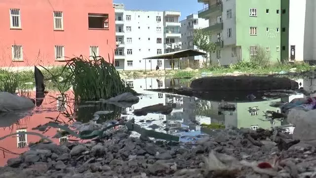 DİYARBAKIR - Yenişehir Belediyesi alt ve üst yapı çalışmasında gelinen aşamayı mahalle sakinleri ile paylaştı DİYARBAKIR - Yenişehir Belediyesi alt ve üst yapı çalışmasında gelinen aşamayı mahalle sakinleri ile paylaştı