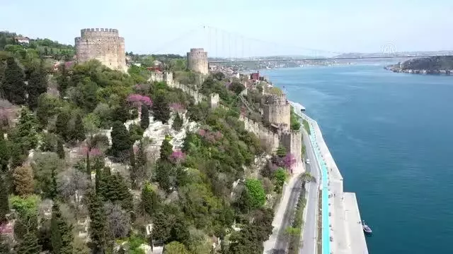 Erguvanlar, İstanbul Boğazı'nı taçlandırdı Erguvanlar, İstanbul Boğazı'nı taçlandırdı