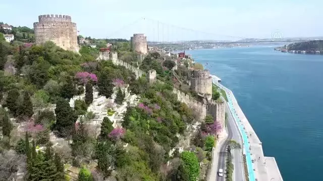 Erguvanlar, İstanbul Boğazı'nı taçlandırdı Erguvanlar, İstanbul Boğazı'nı taçlandırdı