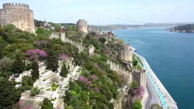 Erguvanlar, İstanbul Boğazı'nı taçlandırdı Erguvanlar, İstanbul Boğazı'nı taçlandırdı