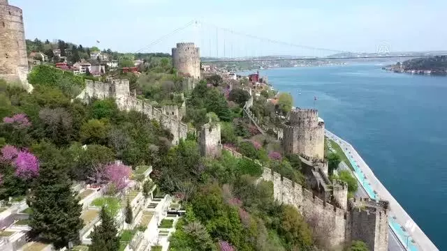 Erguvanlar, İstanbul Boğazı'nı taçlandırdı Erguvanlar, İstanbul Boğazı'nı taçlandırdı