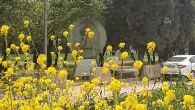 Fatih Sultan Mehmet, son otağını kurduğu Hünkar Çayırı'nda anıldı Fatih Sultan Mehmet, son otağını kurduğu Hünkar Çayırı'nda anıldı