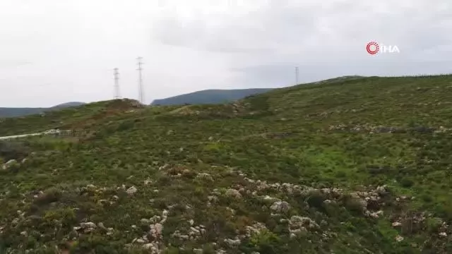 Fidanların dedesi...39 yıldır İzmir ormanlarını ağaçla buluşturuyor Fidanların dedesi...39 yıldır İzmir ormanlarını ağaçla buluşturuyor