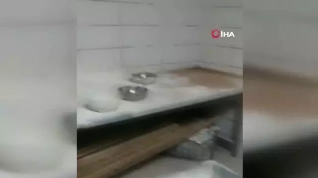 Fırını kurmarhaneye çevirmişler...Pandemide kumar oynamak için seçilen yöntem 'yok artık' dedirtti Fırını kurmarhaneye çevirmişler...Pandemide kumar oynamak için seçilen yöntem 'yok artık' dedirtti