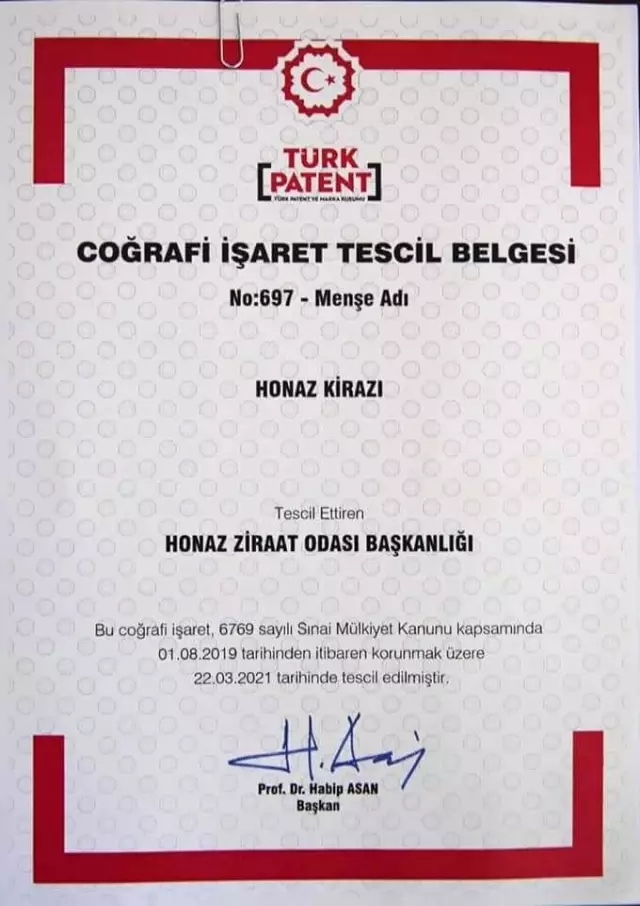 Honaz kirazı tescillendi