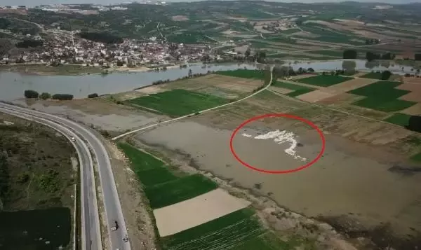 İNEGÖL'DE PELİKAN SÜRPRİZİ İNEGÖL'DE PELİKAN SÜRPRİZİ