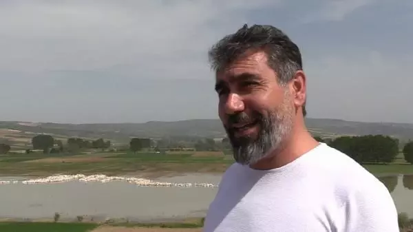 İNEGÖL'DE PELİKAN SÜRPRİZİ İNEGÖL'DE PELİKAN SÜRPRİZİ