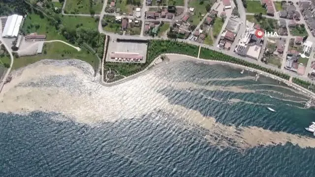 İzmit Körfezi'nde deniz salyası istilası artarak devam ediyor İzmit Körfezi'nde deniz salyası istilası artarak devam ediyor