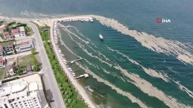 İzmit Körfezi'nde deniz salyası istilası artarak devam ediyor İzmit Körfezi'nde deniz salyası istilası artarak devam ediyor