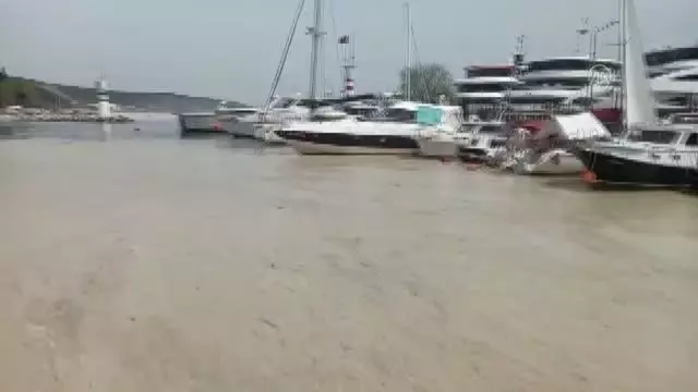 İzmit Körfezi'nde görülen deniz salyası etkisini sürdürüyor İzmit Körfezi'nde görülen deniz salyası etkisini sürdürüyor