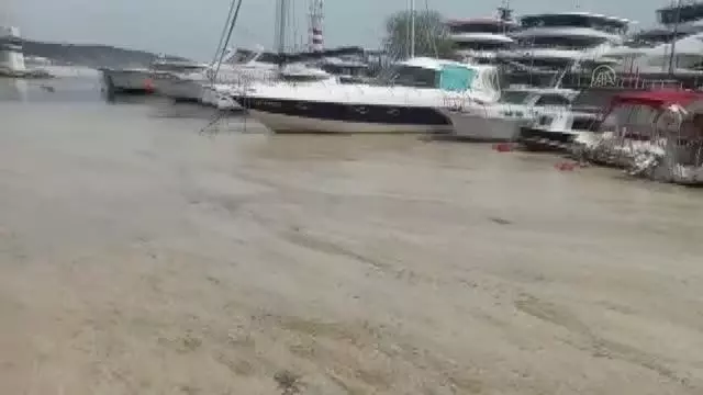 İzmit Körfezi'nde görülen deniz salyası etkisini sürdürüyor