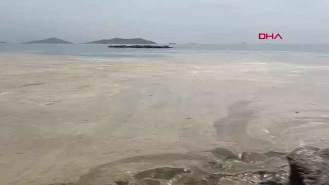 KADIKÖY CADDEBOSTAN SAHİLİ'NDE SALYA ARTIŞI KADIKÖY CADDEBOSTAN SAHİLİ'NDE SALYA ARTIŞI