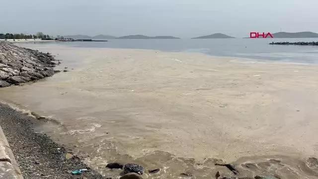 KADIKÖY CADDEBOSTAN SAHİLİ'NDE SALYA ARTIŞI KADIKÖY CADDEBOSTAN SAHİLİ'NDE SALYA ARTIŞI