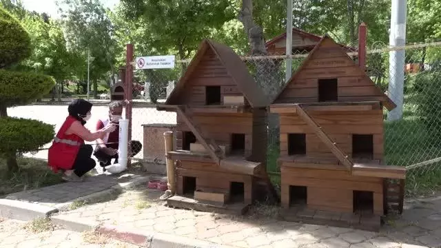 KAHRAMANMARAŞ - Belediye ekipleri sokak hayvanlarını besledi KAHRAMANMARAŞ - Belediye ekipleri sokak hayvanlarını besledi