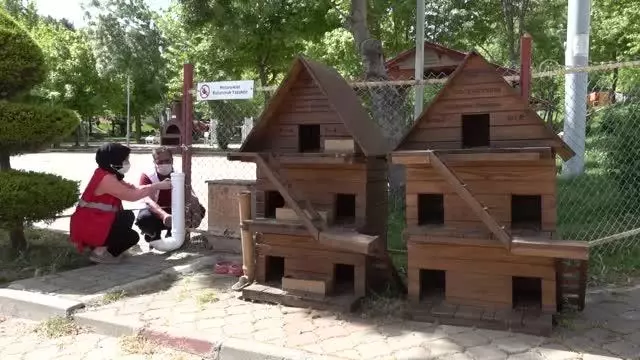 KAHRAMANMARAŞ - Belediye ekipleri sokak hayvanlarını besledi KAHRAMANMARAŞ - Belediye ekipleri sokak hayvanlarını besledi