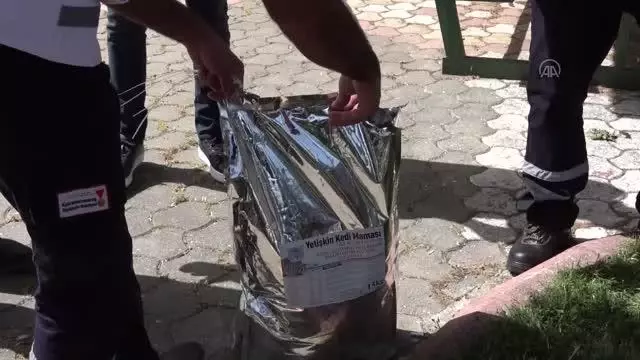 KAHRAMANMARAŞ - Belediye ekipleri sokak hayvanlarını besledi KAHRAMANMARAŞ - Belediye ekipleri sokak hayvanlarını besledi