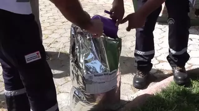 KAHRAMANMARAŞ - Belediye ekipleri sokak hayvanlarını besledi KAHRAMANMARAŞ - Belediye ekipleri sokak hayvanlarını besledi