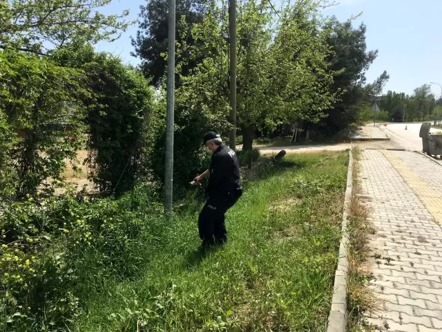 Karayolunu geçmeye çalışan kaplumbağaya polis yardım etti Karayolunu geçmeye çalışan kaplumbağaya polis yardım etti