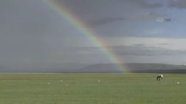 Kars'ta gökkuşağı Kars'ta gökkuşağı