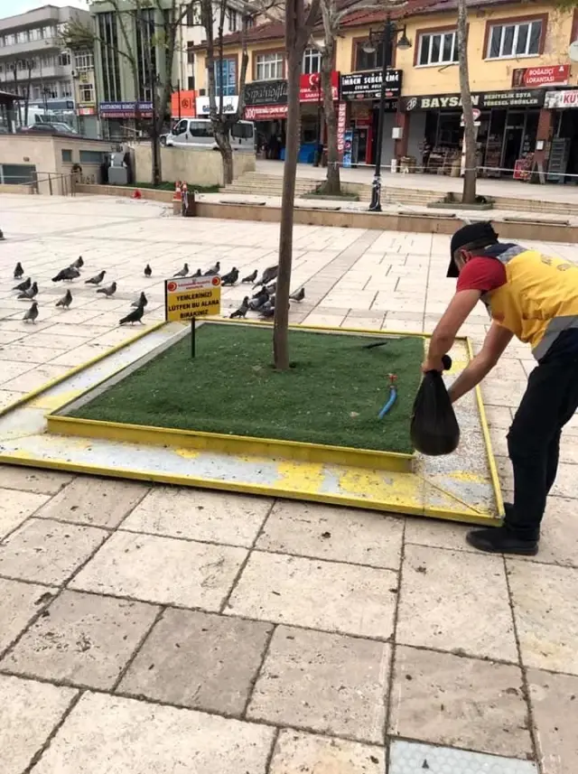 Kastamonu Belediyesi, sokak hayvanları ile kuşları besledi