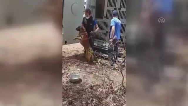 Kaybolan otizmli çocuğu arama çalışmaları sürüyor Kaybolan otizmli çocuğu arama çalışmaları sürüyor