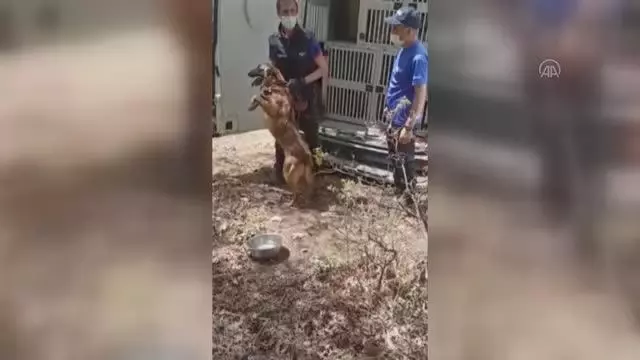 Kaybolan otizmli çocuğu arama çalışmaları sürüyor Kaybolan otizmli çocuğu arama çalışmaları sürüyor