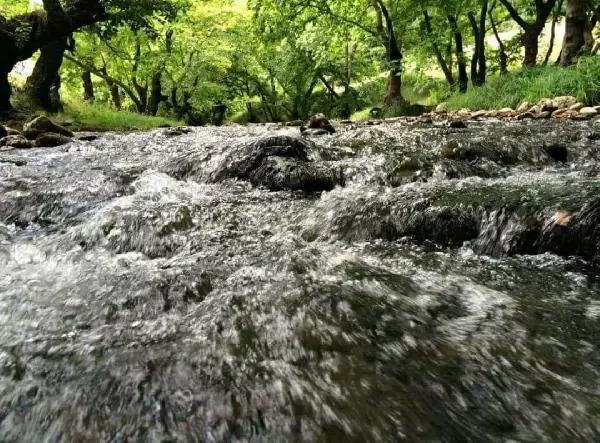 BALIKESİR KETENLİK DERESİ'NDE KİRLİLİK BALIKESİR KETENLİK DERESİ'NDE KİRLİLİK