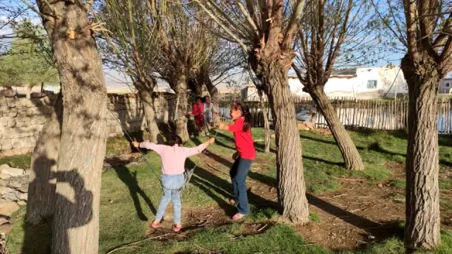 Korkusuz çocuklar sazlıkta yılan yakalıyor Korkusuz çocuklar sazlıkta yılan yakalıyor