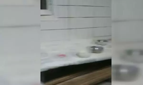Fırını kumarhaneye çevirenlere ceza yağdı Fırını kumarhaneye çevirenlere ceza yağdı