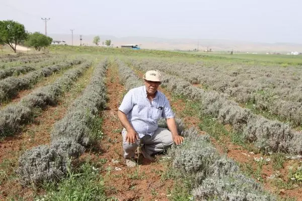 Dicle Elektrik'ten 'Verimli Tarım Hikayeleri' Dicle Elektrik'ten 'Verimli Tarım Hikayeleri'