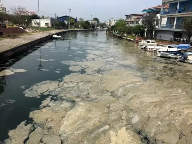Marmara Deniz'inde 'deniz salyası' istilası sürüyor Marmara Deniz'inde 'deniz salyası' istilası sürüyor