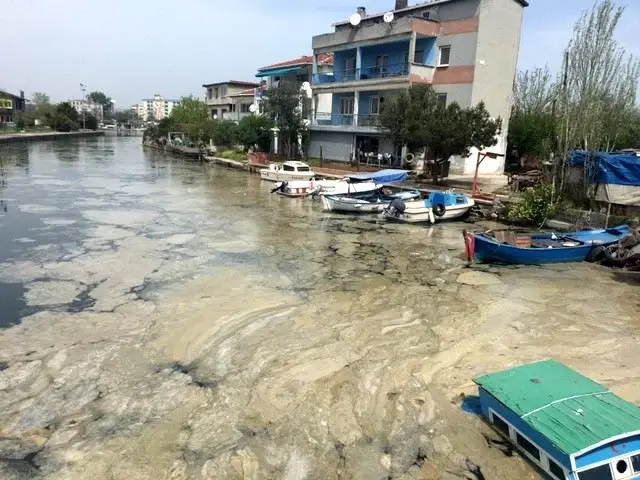 Marmara Deniz'inde 'deniz salyası' istilası sürüyor Marmara Deniz'inde 'deniz salyası' istilası sürüyor