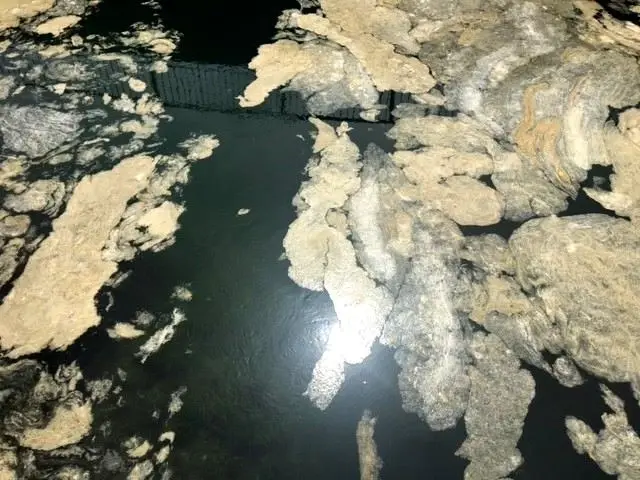 Marmara Deniz'inde 'deniz salyası' istilası sürüyor Marmara Deniz'inde 'deniz salyası' istilası sürüyor
