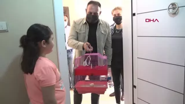 MERSİN 10 YAŞINDAKİ MELİSA'YA MUHABBET KUŞU SÜRPRİZİ MERSİN 10 YAŞINDAKİ MELİSA'YA MUHABBET KUŞU SÜRPRİZİ
