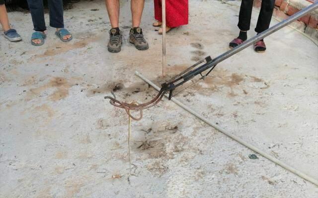 Muğla'da evin yatak odasında yakalanan yılan doğaya salındı Muğla'da evin yatak odasında yakalanan yılan doğaya salındı