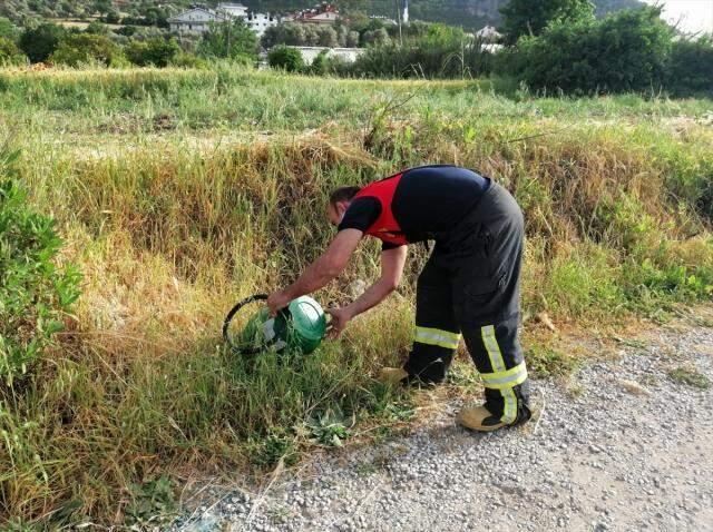 Muğla'da evin yatak odasında yakalanan yılan doğaya salındı Muğla'da evin yatak odasında yakalanan yılan doğaya salındı