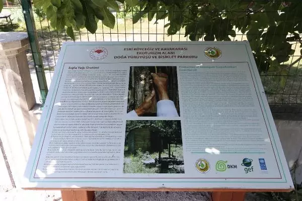 MUĞLA'DA YEŞİL NEFES TURU'YLA EKO TURİZM TANITIMI -2 MUĞLA'DA YEŞİL NEFES TURU'YLA EKO TURİZM TANITIMI -2