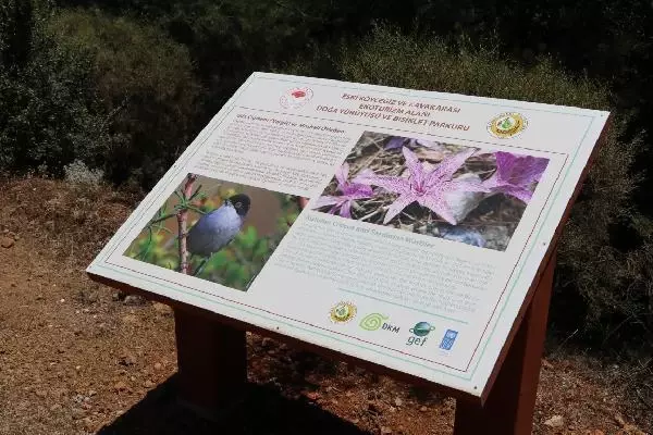 MUĞLA'DA YEŞİL NEFES TURU'YLA EKO TURİZM TANITIMI -2 MUĞLA'DA YEŞİL NEFES TURU'YLA EKO TURİZM TANITIMI -2