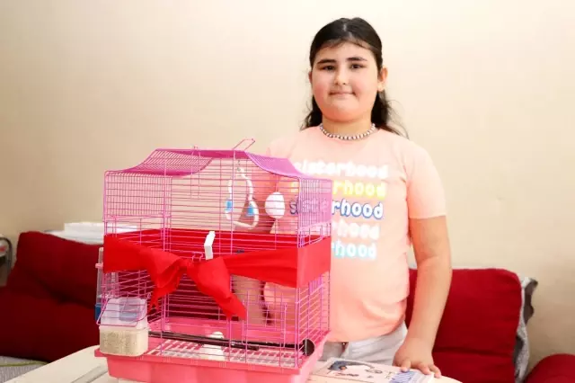 Muhabbet kuşu kaçan küçük Melisa'ya belediye başkanından sürpriz Muhabbet kuşu kaçan küçük Melisa'ya belediye başkanından sürpriz