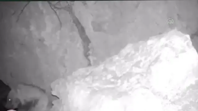 Nesli tükenme tehlikesindeki çizgili sırtlan fotokapanla görüntülendi Nesli tükenme tehlikesindeki çizgili sırtlan fotokapanla görüntülendi