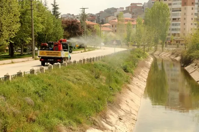 Odunpazarı'nda ilaçlama çalışmaları titizlikle devam ediyor Odunpazarı'nda ilaçlama çalışmaları titizlikle devam ediyor